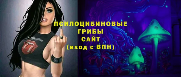 гашик Верея