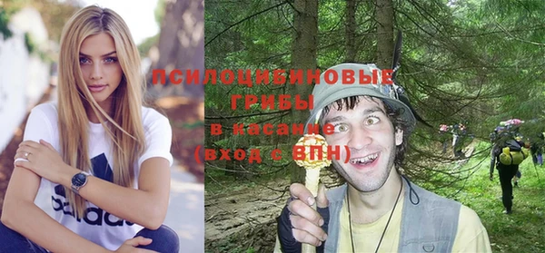 гашик Верея