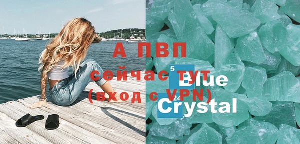 гашик Верея