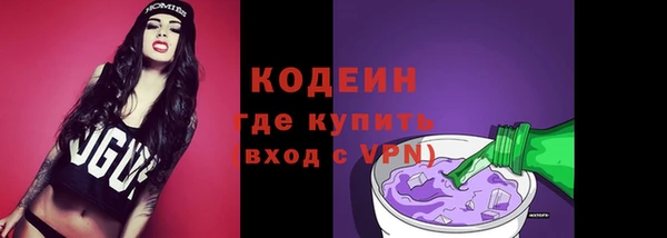 гидра Верхний Тагил