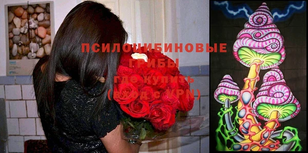 гидра Верхний Тагил