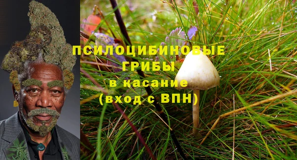 гидра Верхний Тагил