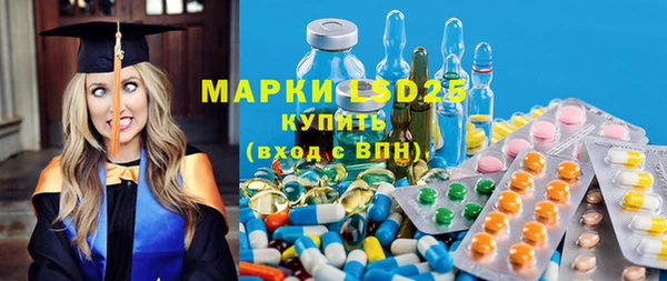 гашик Верея