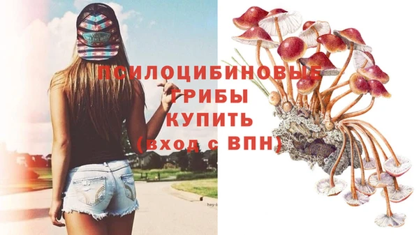 гашик Верея
