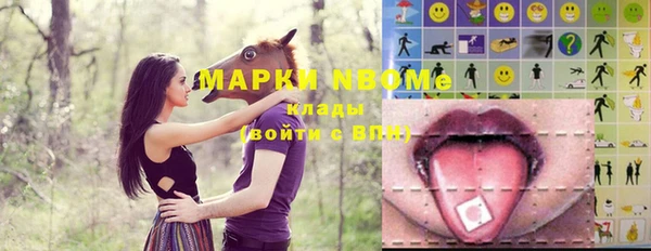 гашик Верея