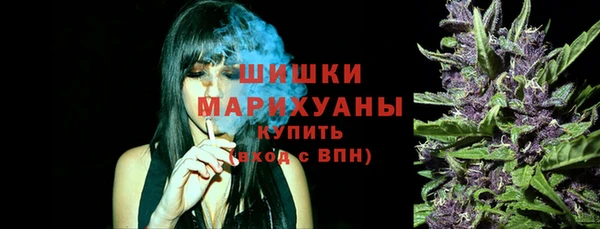 гидра Верхний Тагил