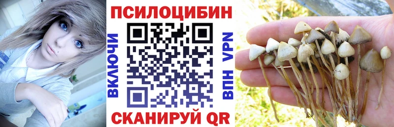 Псилоцибиновые грибы ЛСД  Купить закладки  Великий Устюг 