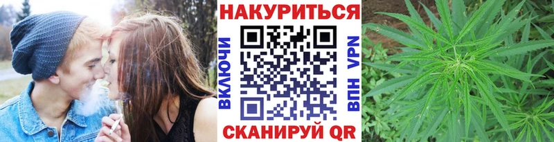 Канабис OG Kush  Купить где  Великий Устюг 